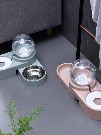 Mauris malesuada odio