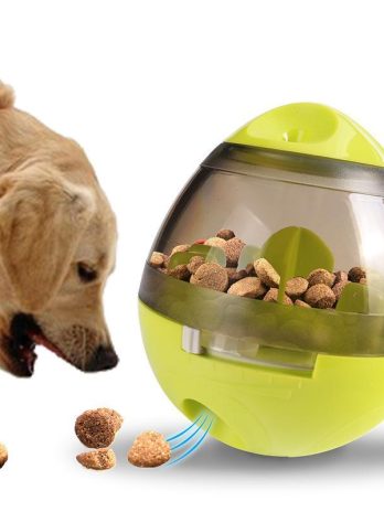 Vitae augue scelerisque