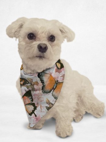 Faucibus metus blandit